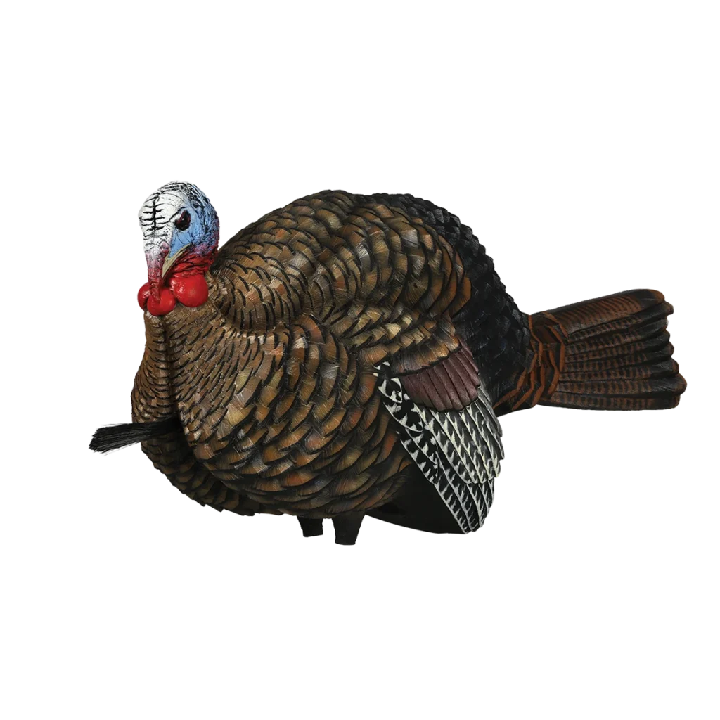 Avian-X LCD Half-Strut Jake turkey decoy