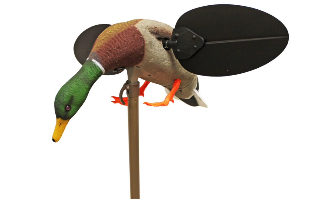 MOJO Mallard (Drake)