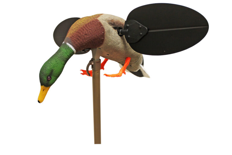 MOJO Mallard (Drake)