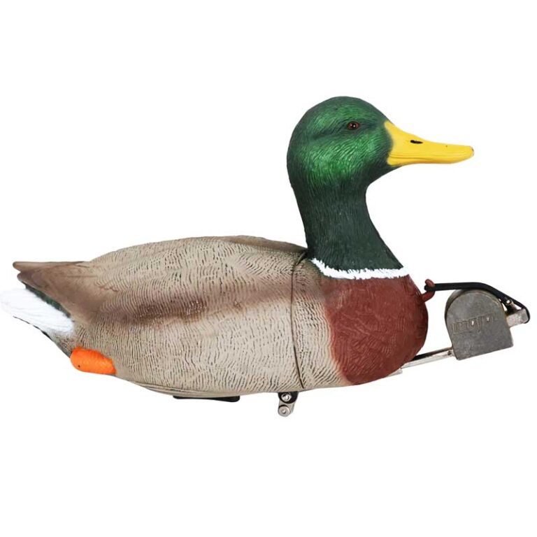 MOJO Dabbler