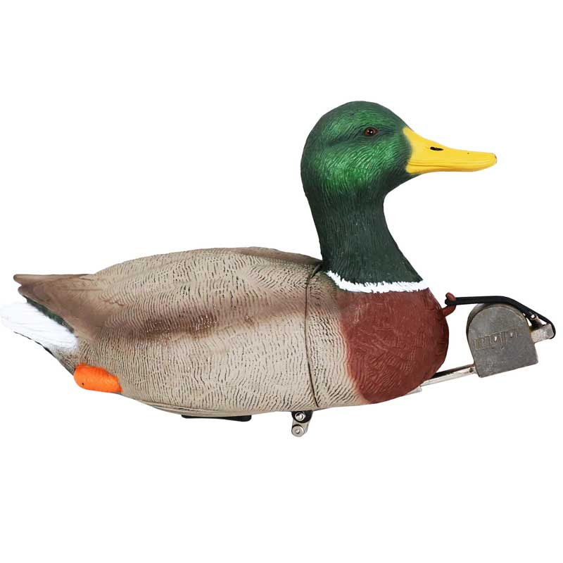 MOJO Dabbler