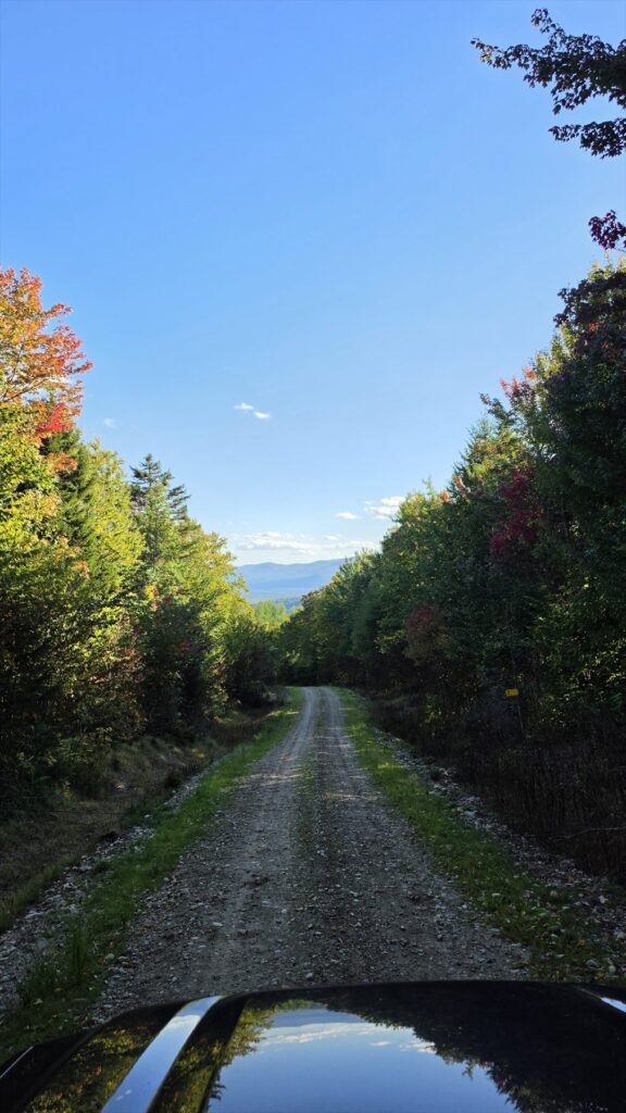 Autumn logging road near Rangeley, Maine