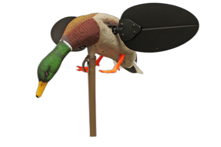 MOJO Mallard (Drake)